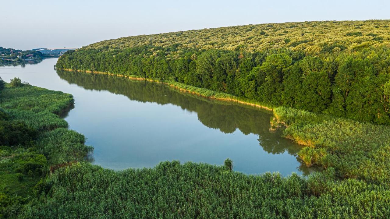 Вила Теkето I Vila Teketo Family Guest House Nikolovo Esterno foto